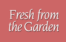 Fresh from the Garden